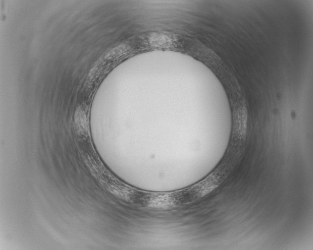 X0000051260705200507152216