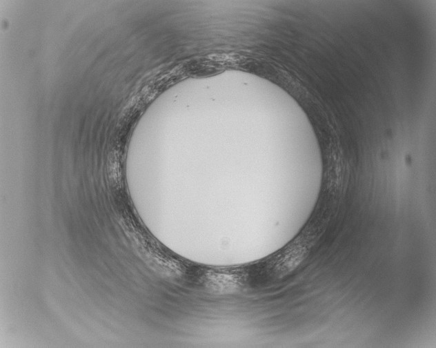 X0000051260706200507152216