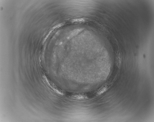 X0000051260708200507152216