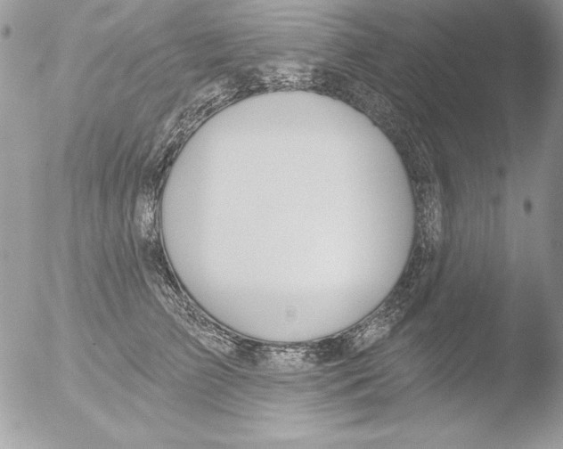 X0000051260709200507152216