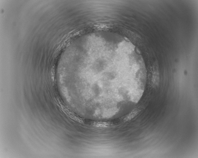 X0000051260710200507152216