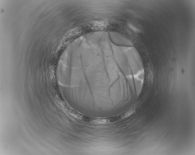 X0000051260711200507152216