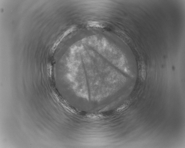 X0000051260712200507152216