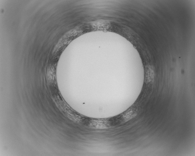 X0000051260713200507152216