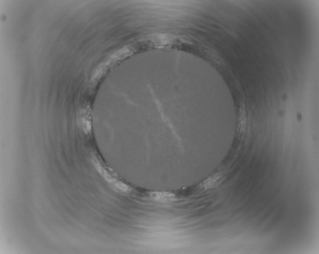 X0000051260719200507152216