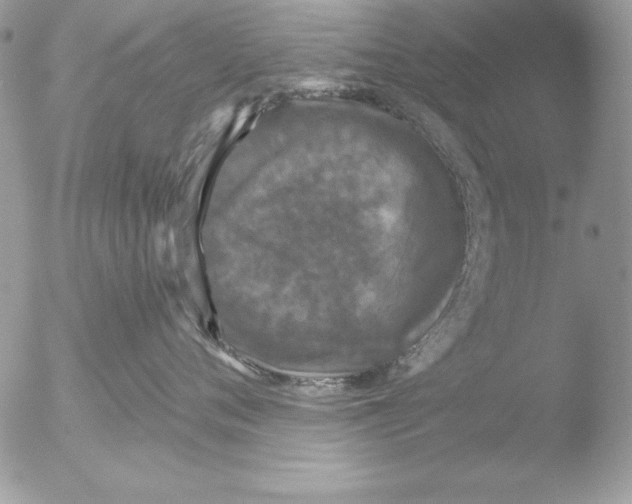 X0000051260720200507152215