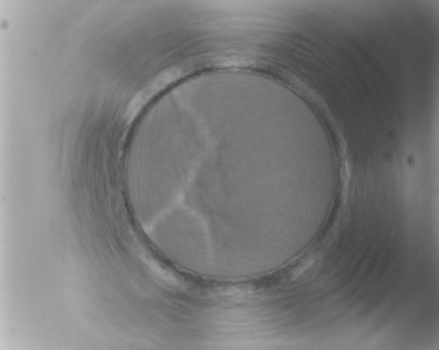 X0000051260721200507152215