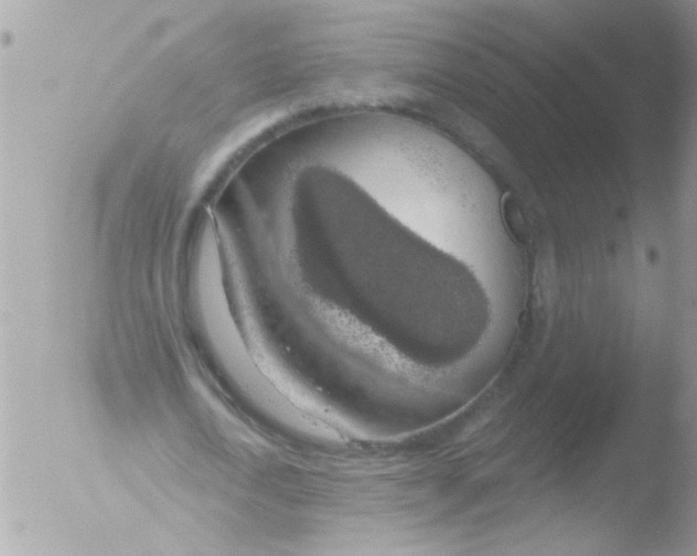 X0000051260722200507152215