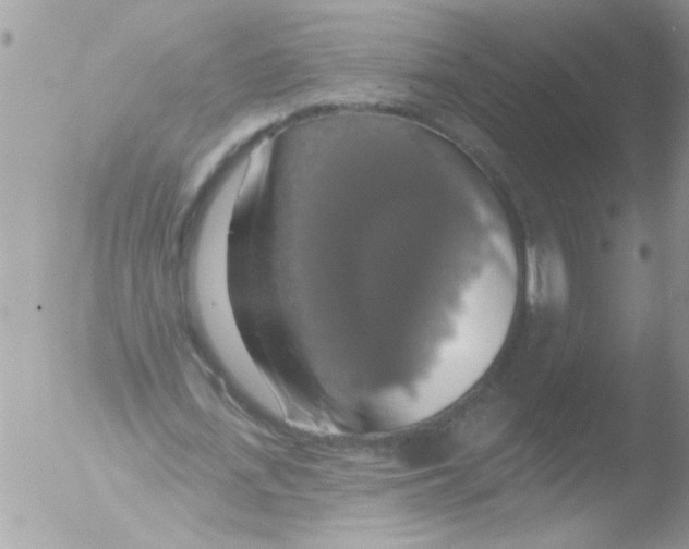 X0000051260723200507152215