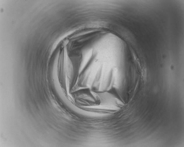 X0000051260724200507152215