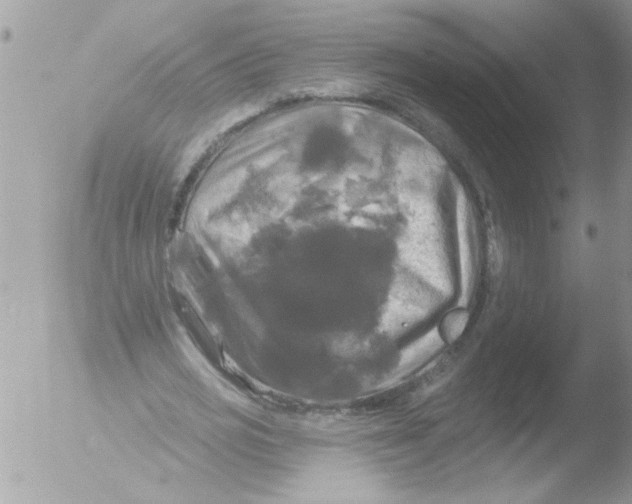 X0000051260725200507152215