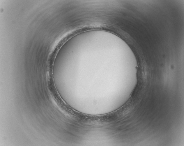 X0000051260728200507152215