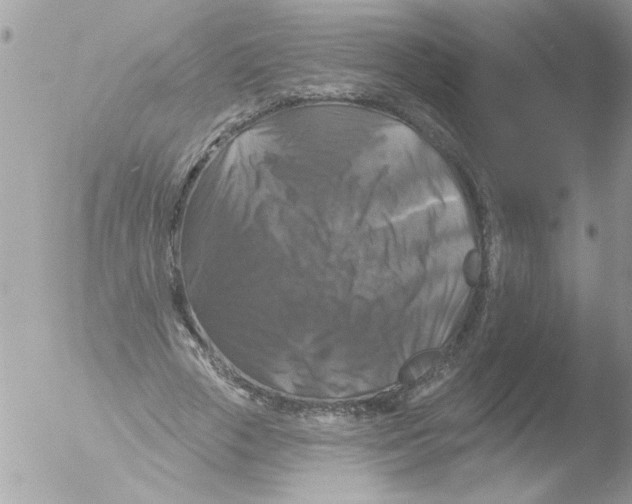 X0000051260729200507152215