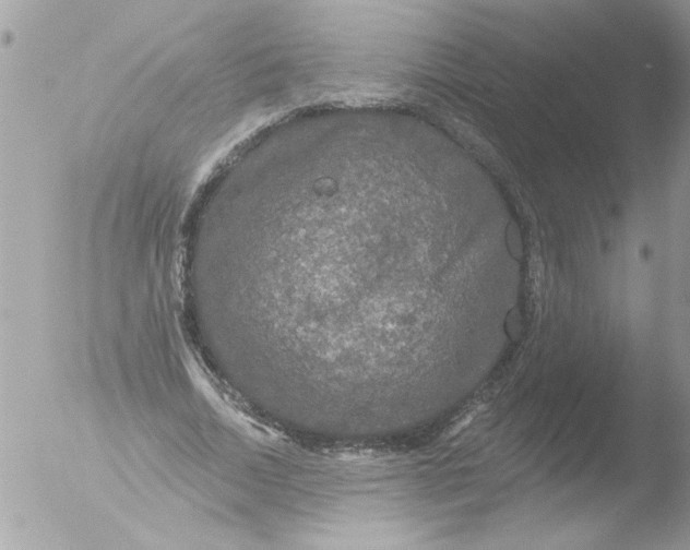 X0000051260730200507152215