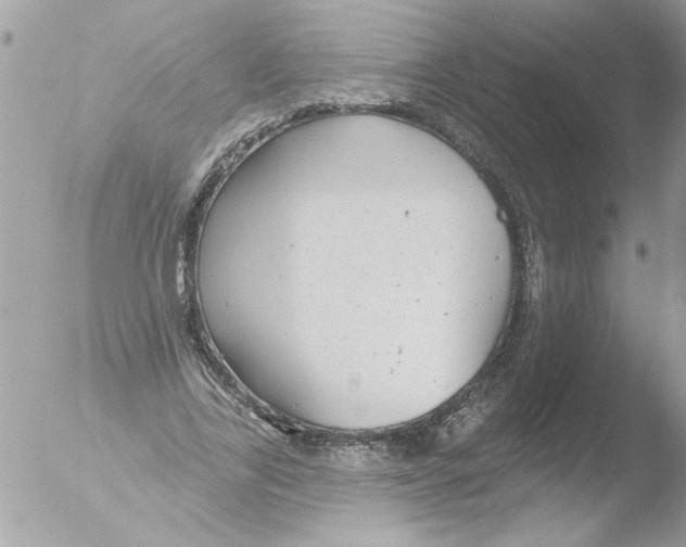 X0000051260731200507152215