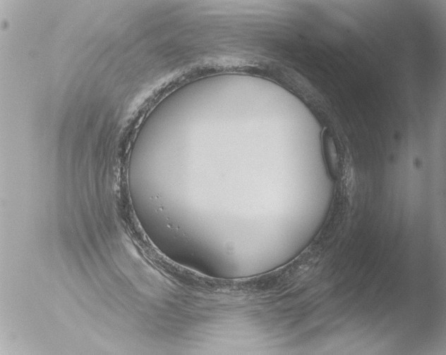 X0000051260732200507152215