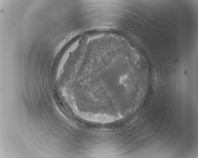 X0000051260734200507152215