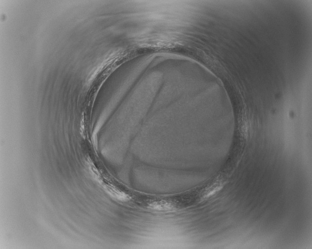 X0000051260735200507152215