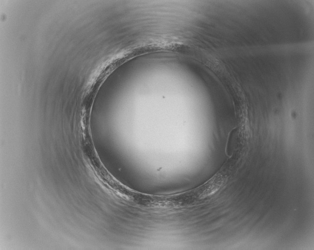 X0000051260736200507152215