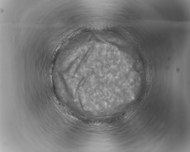 X0000051260737200507152215