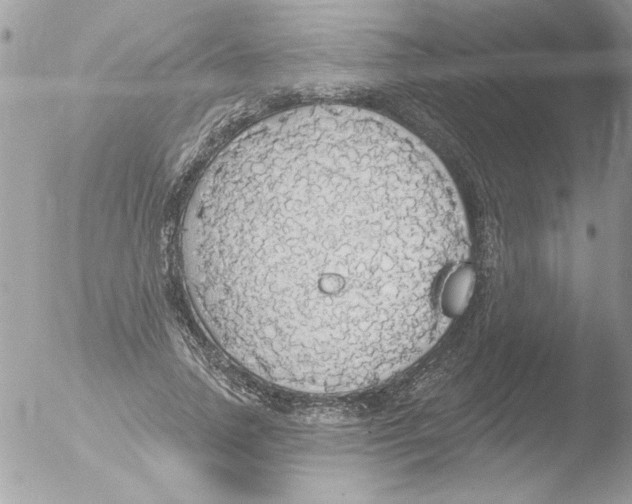 X0000051260738200507152215