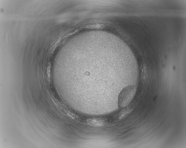 X0000051260739200507152215