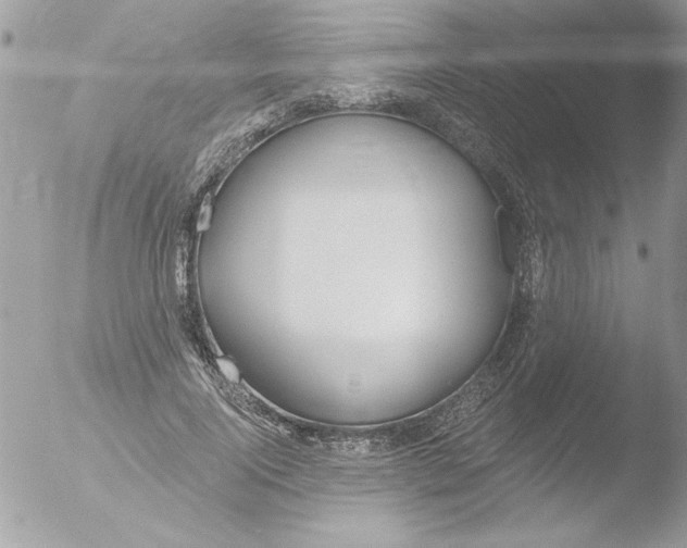 X0000051260740200507152215