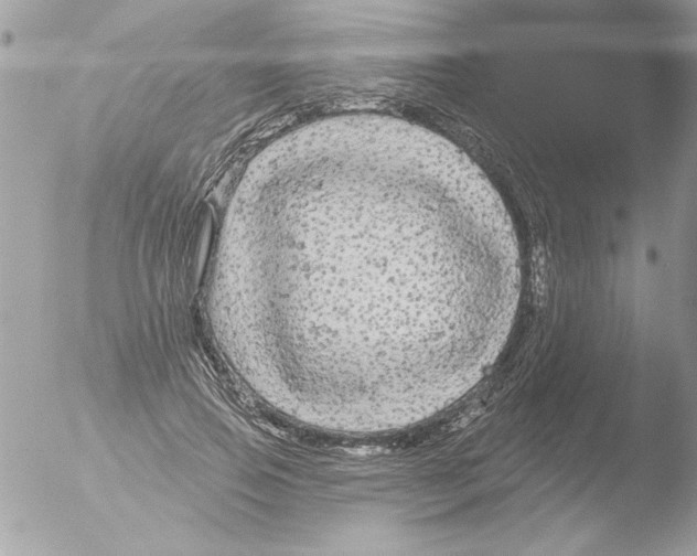 X0000051260741200507152215