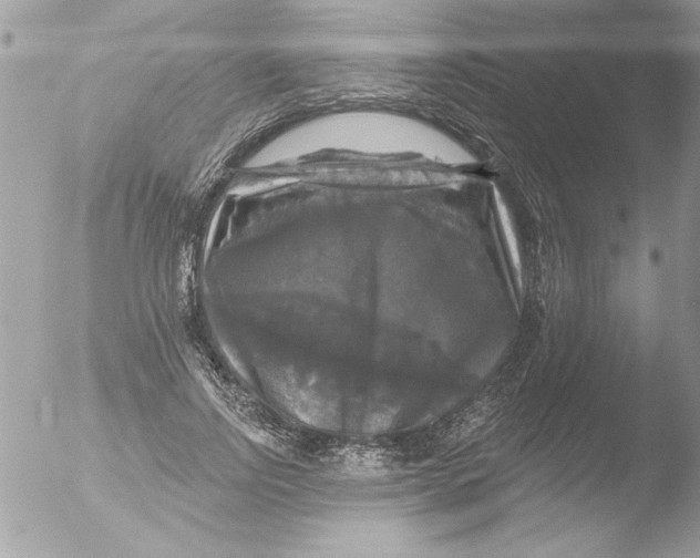 X0000051260742200507152215