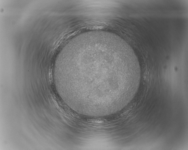 X0000051260743200507152215