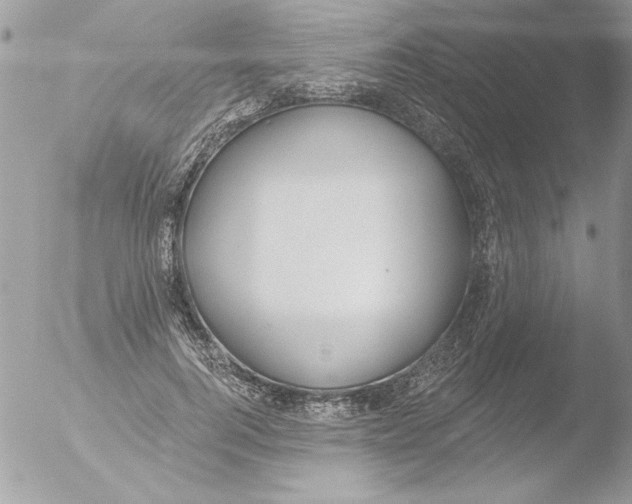 X0000051260744200507152215