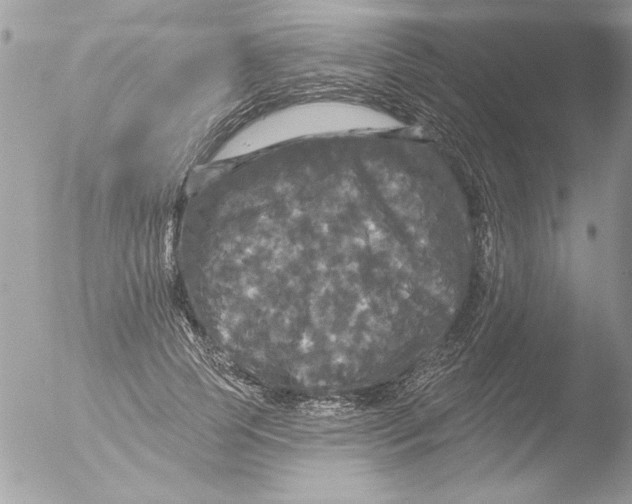 X0000051260745200507152215