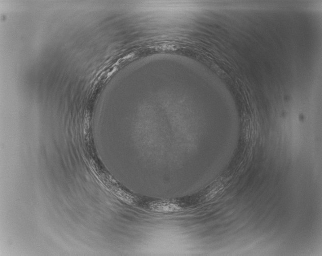 X0000051260747200507152215