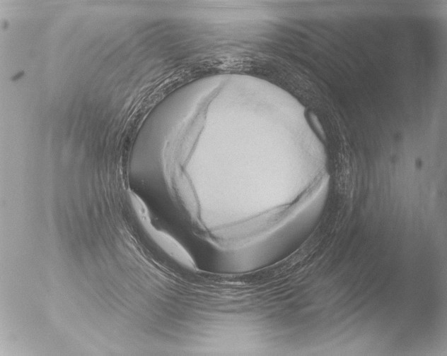 X0000051260748200507152215