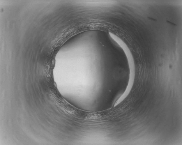 X0000051260750200507152215