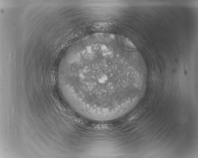 X0000051260751200507152215