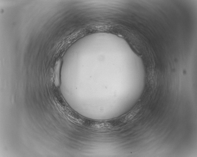 X0000051260752200507152215