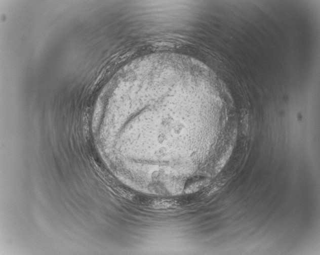 X0000051260753200507152215