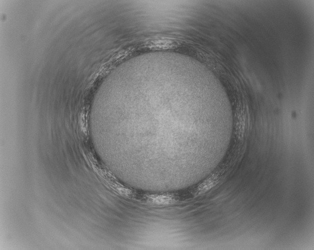 X0000051260755200507152215