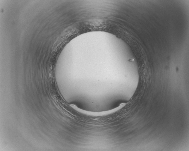 X0000051260756200507152215