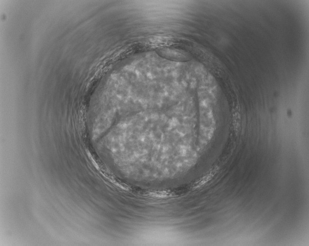 X0000051260757200507152215