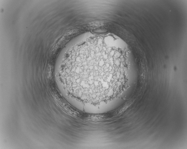 X0000051260758200507152215