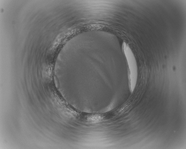 X0000051260759200507152215