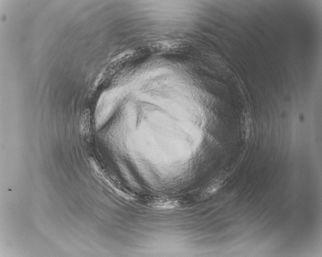 X0000051260760200507152215