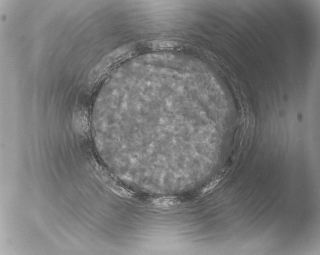 X0000051260761200507152215