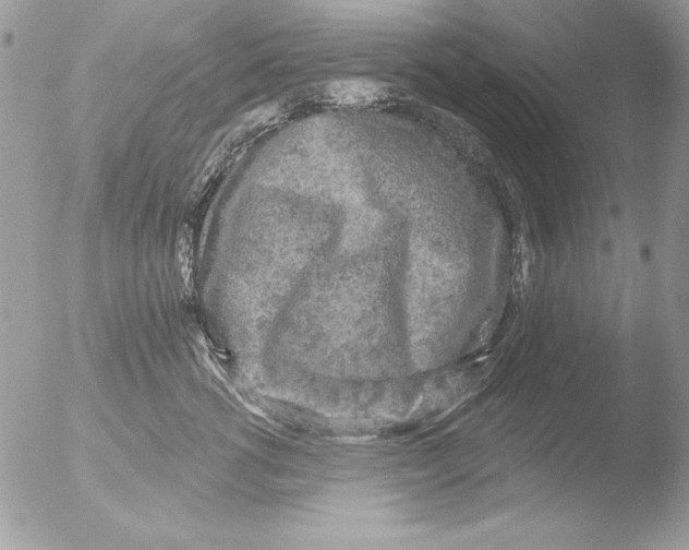 X0000051260762200507152215