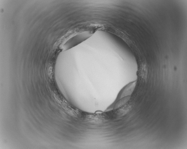 X0000051260763200507152215