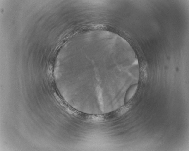 X0000051260765200507152215