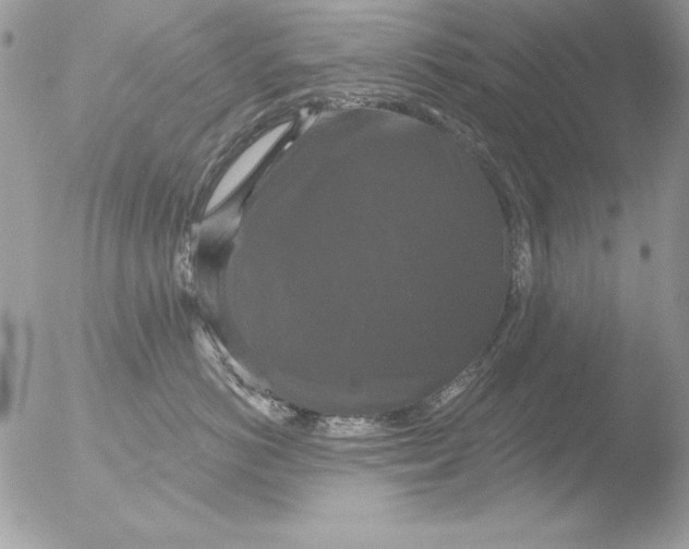 X0000051260766200507152215