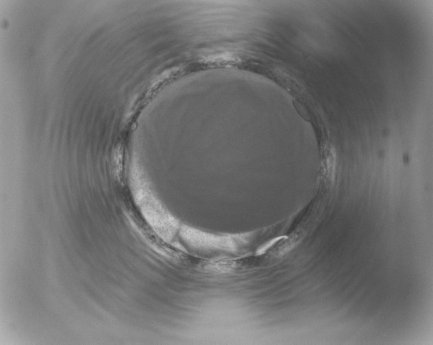 X0000051260767200507152215